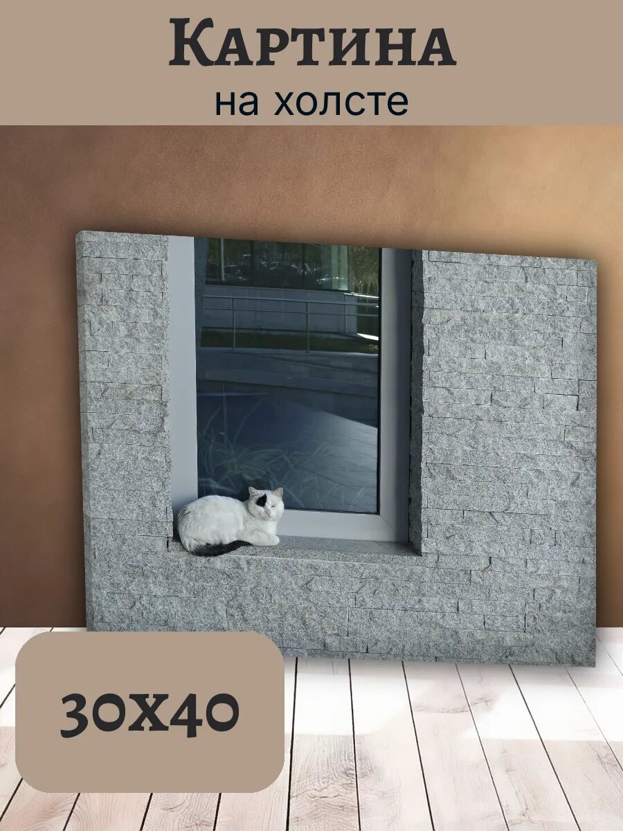 Картина Кот Кошка Cat 30x40 белый кот на подоконнике