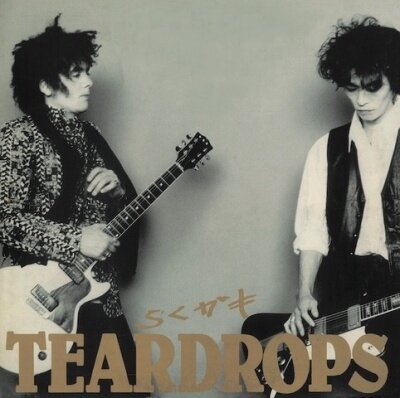 Виниловая пластинка TEARDROPS - rakugaki (Vinyl, LP, Album, 2025)