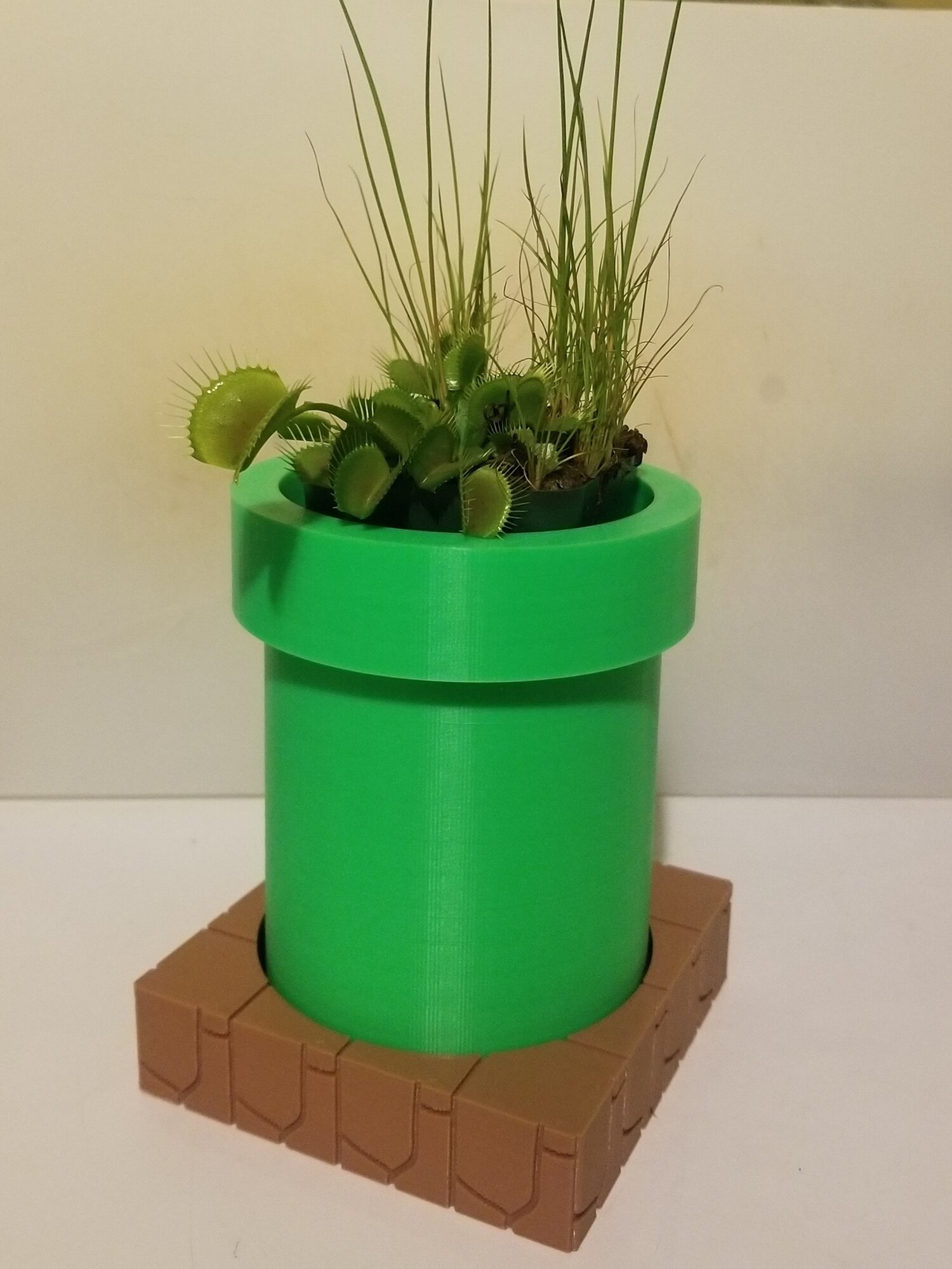 Кашпо для растений дизайнерская, 3D-печать под заказ, арт. PZ-PLANT-TV-4762936