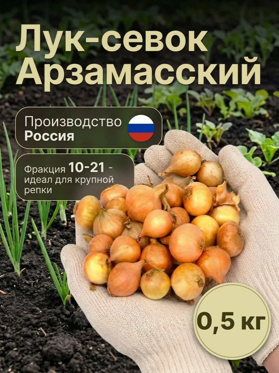 Лук севок Арзамасский 0,5 кг на посадку осенью