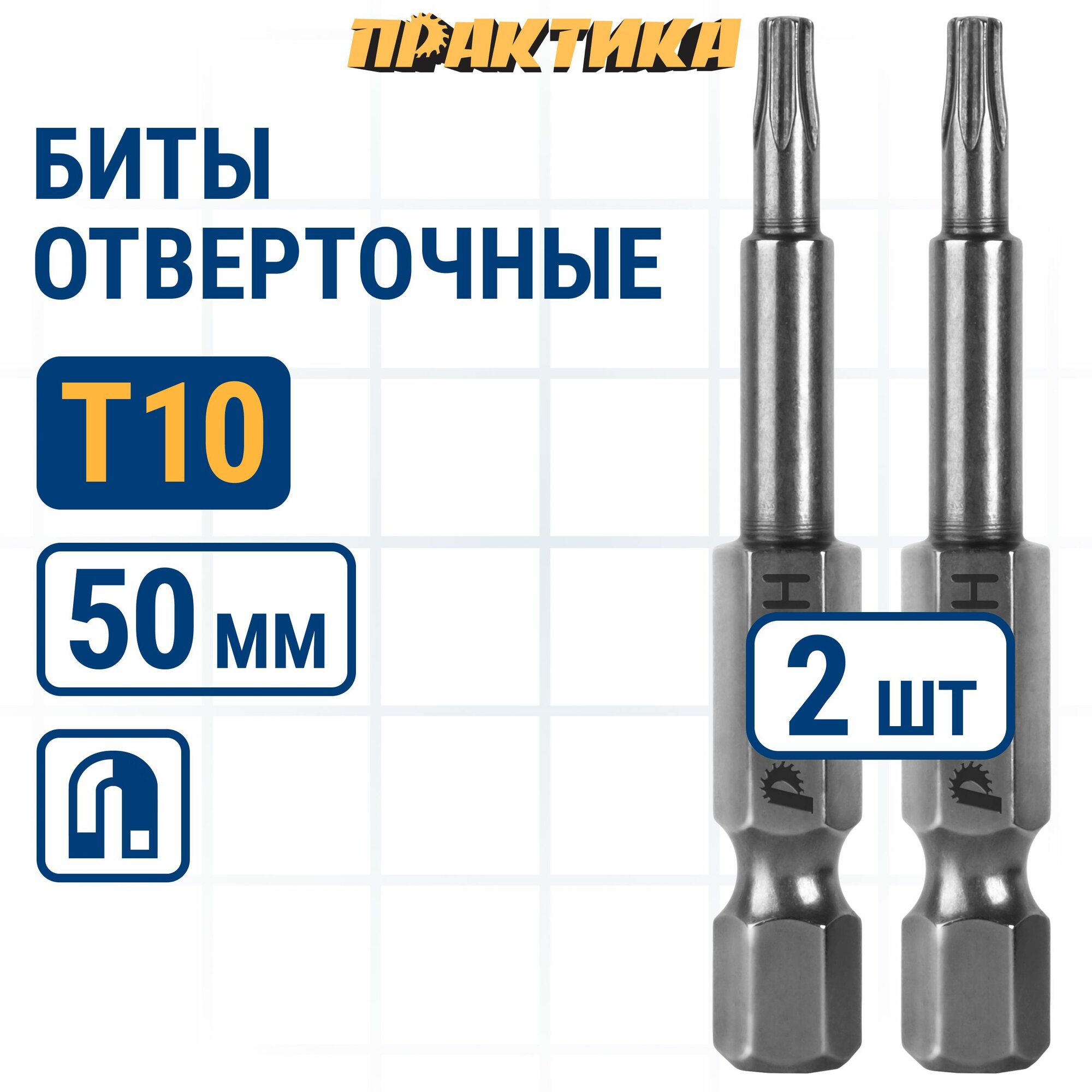 Биты для шуруповертов / бита отверточная ПРАКТИКА "Профи" Torx Tamper-10 х 50мм (2шт)