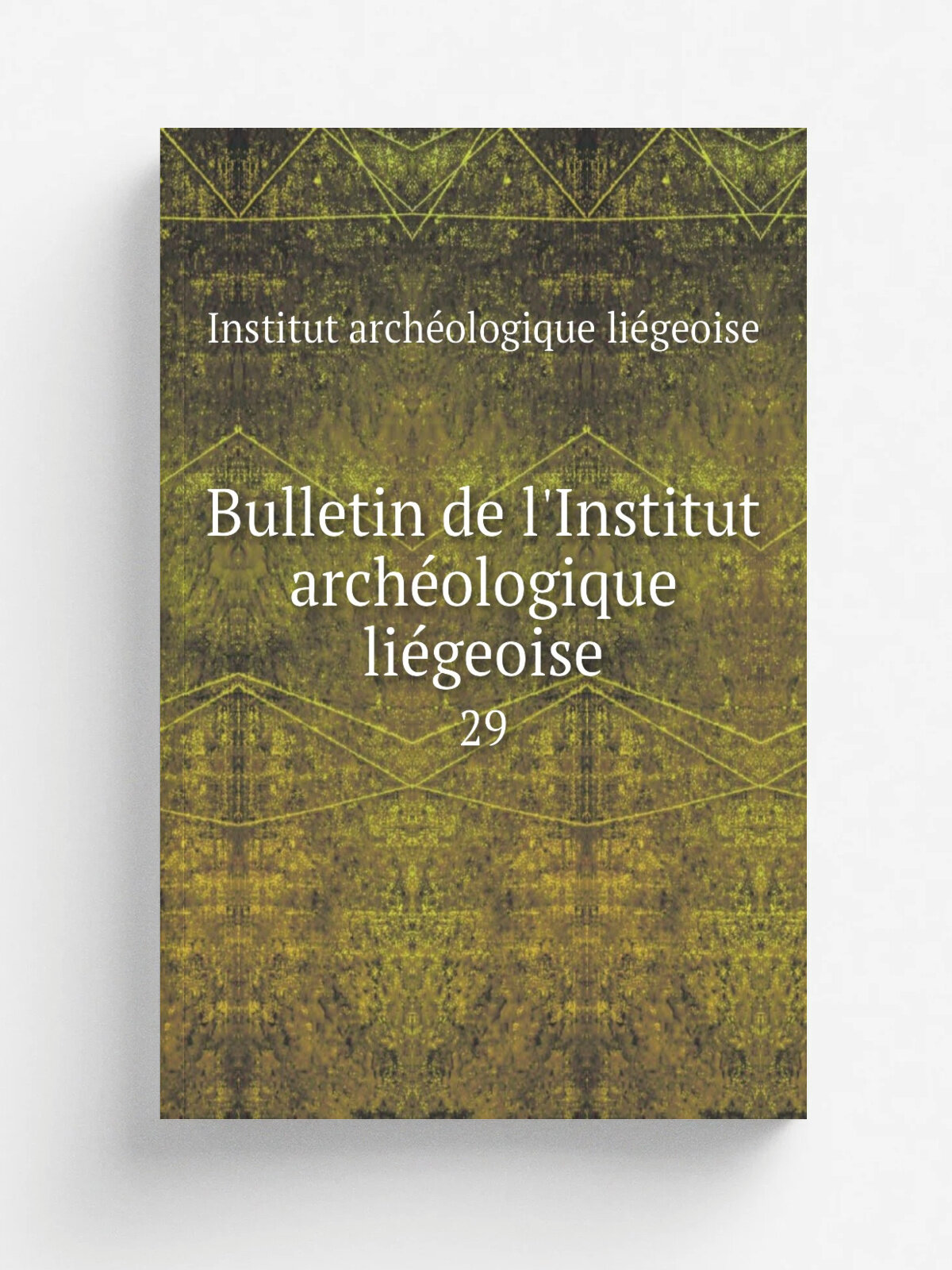 Bulletin de l'Institut arch.ologique li.geoise. 29 | Institut arch.ologique li.geoise | 1852 | Li.ge, Maison Curtius | Репринт