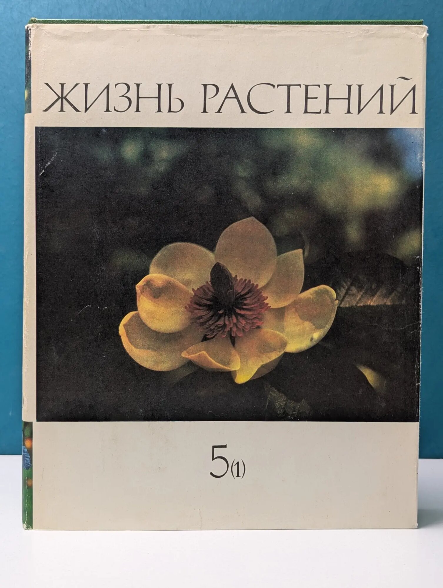 Жизнь растений. В 6 томах. Том 5. Часть 1. Цветковые растения Тахтаджян Армен Леонович (ред.) 1980