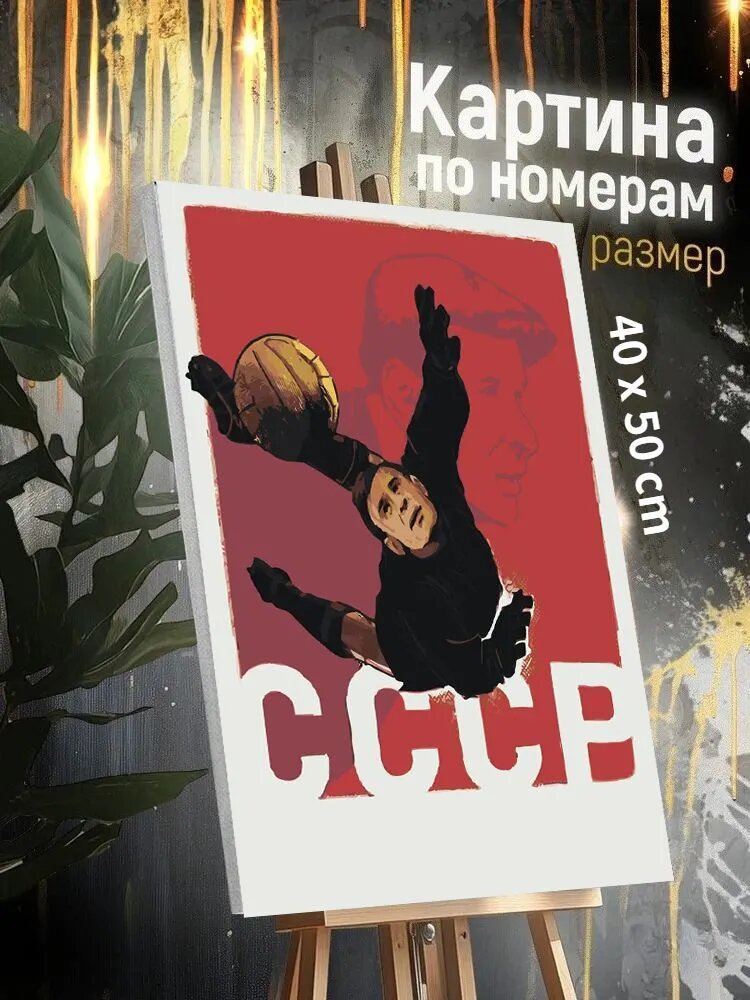 Картина по номерам Советский Футбол-Вратарь, 40x50cm, На носилках