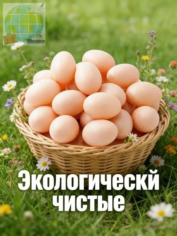 Подкладочное куриное яйцо (муляж) 10 штук для птиц, декора и тренировок Пасхальные яйца с рисунками