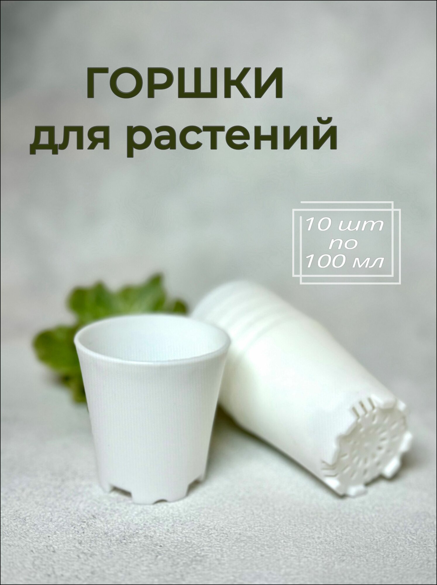 Горшок для цветов 0.1 л, 5.5 см, 10 шт, цвет белый