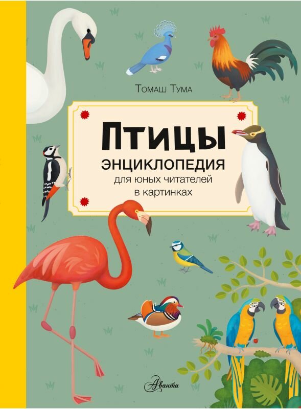 Тума Т. «Птицы. Энциклопедия для юных читателей в картинках»