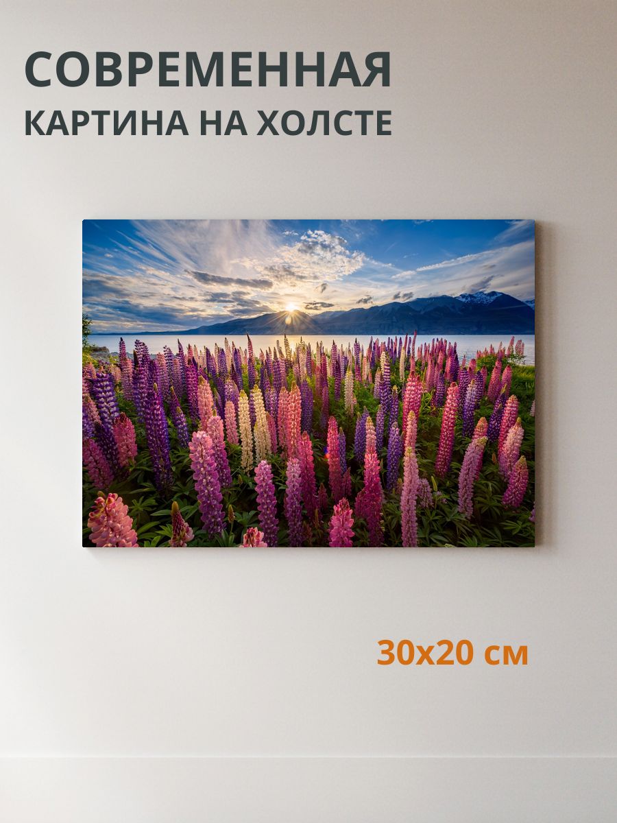 Картина на холсте Люпиновые поля 30x20 см