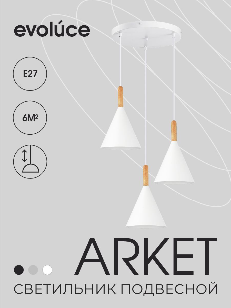Светильник подвесной Белый, EVOLUCE ARKET, SLE1255-513-03