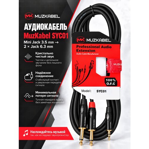 фото Аудио кабель muzkabel syc012 - 2 метра, mini jack (3.5) - 2jack (моно)