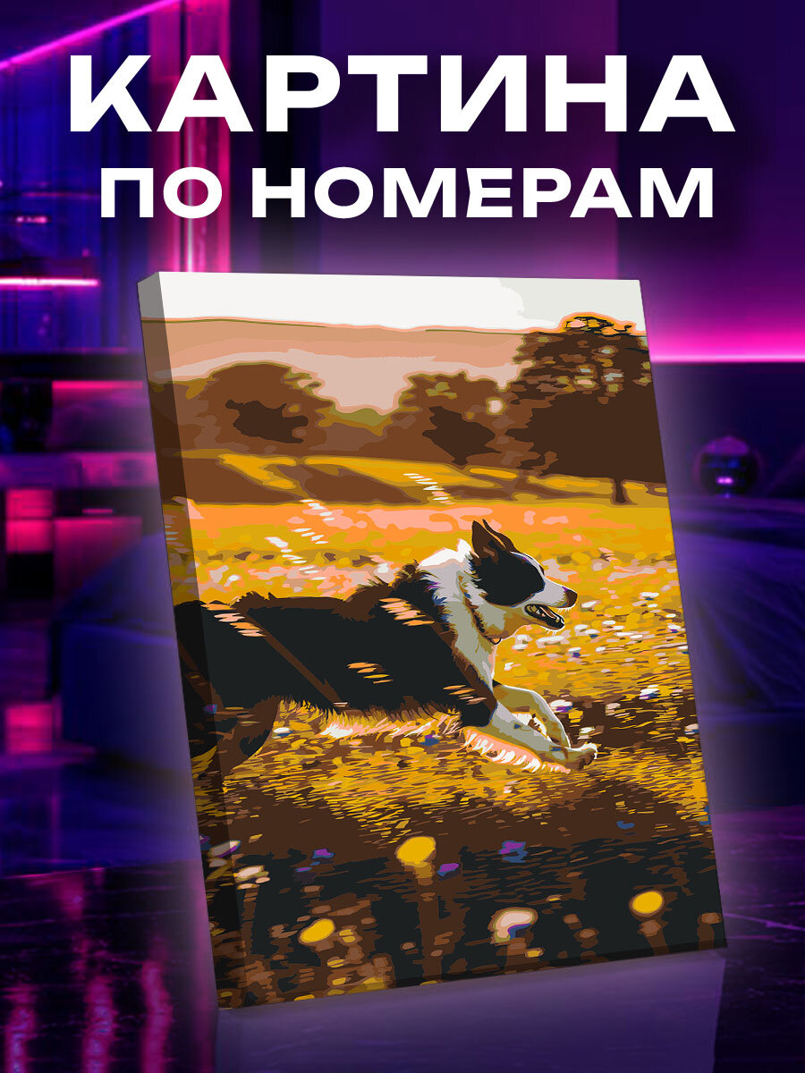 Картина по номерам Собака
