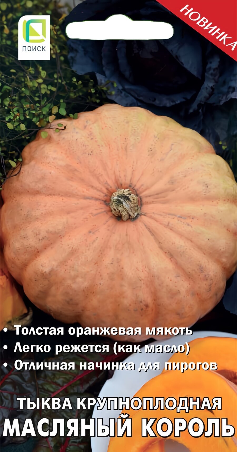 Семена тыквы Масляный король, 10 шт, Поиск, для солнечных мест