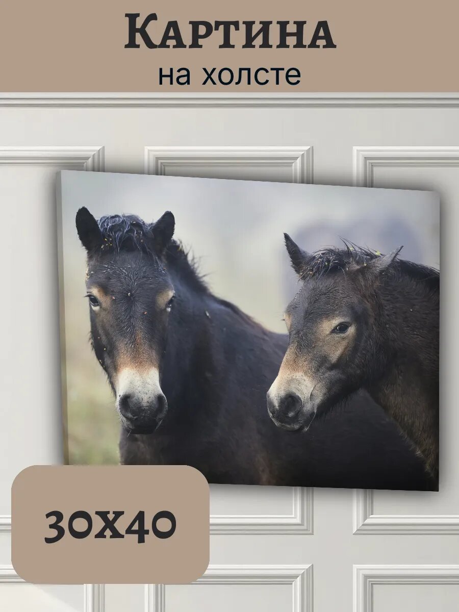 Картина Чехия Czech Европа 30x40 кони