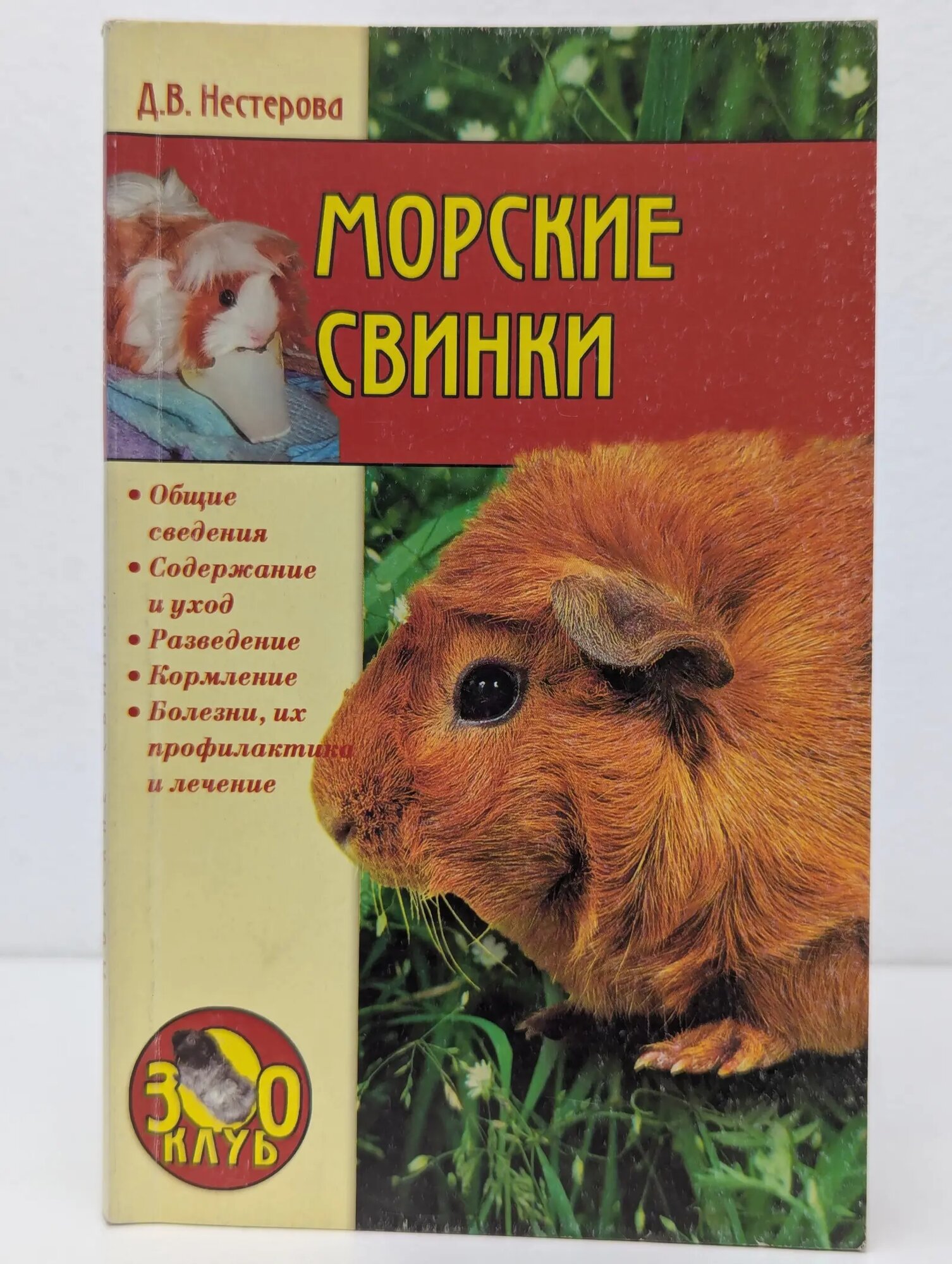 Морские свинки Нестерова Дарья Владимировна 2005