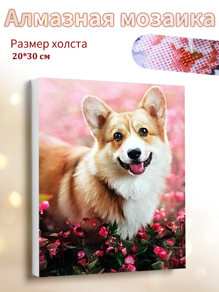 Алмазная мозаика на подрамнике 20x30cm "Собака породы Корги" / картина алмазная стразами