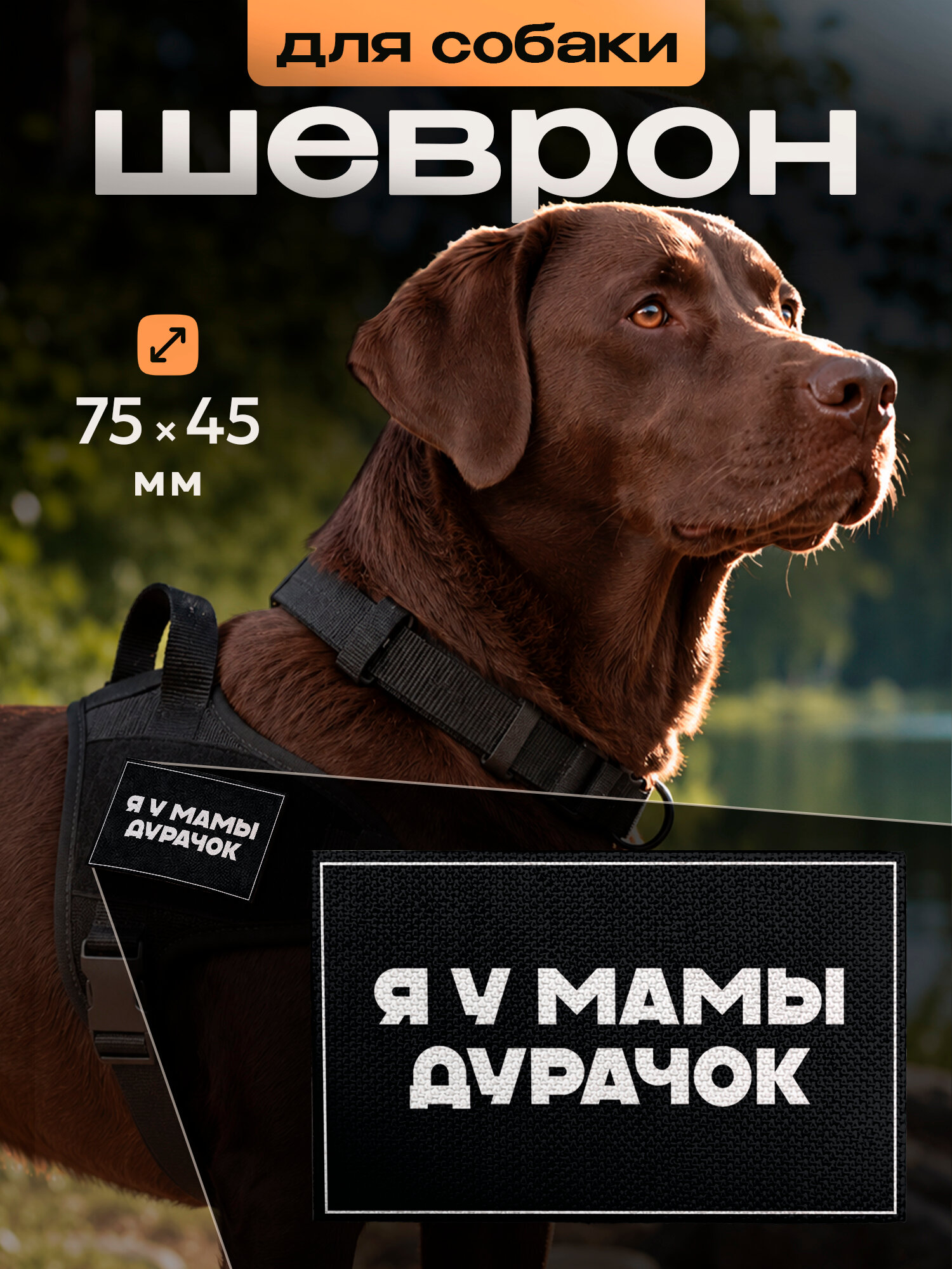 Шеврон для собак