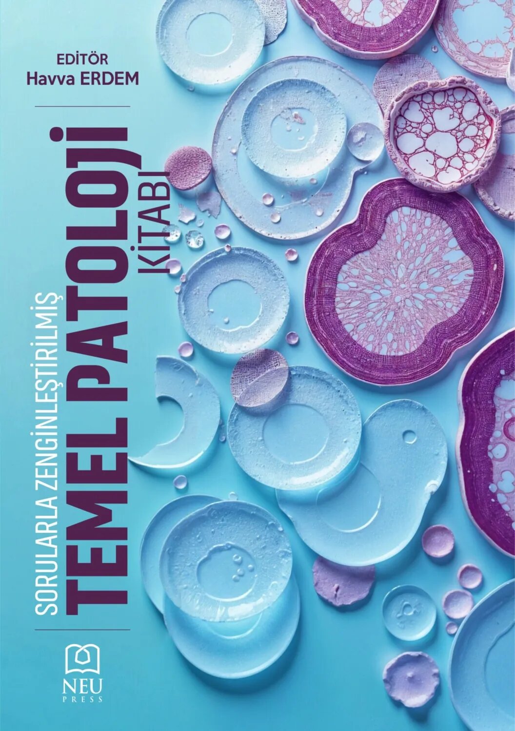 SORULARLA ZENGİNLEŞTİRİLMİŞ TEMEL PATOLOJİ KİTABI [Цифровая книга]