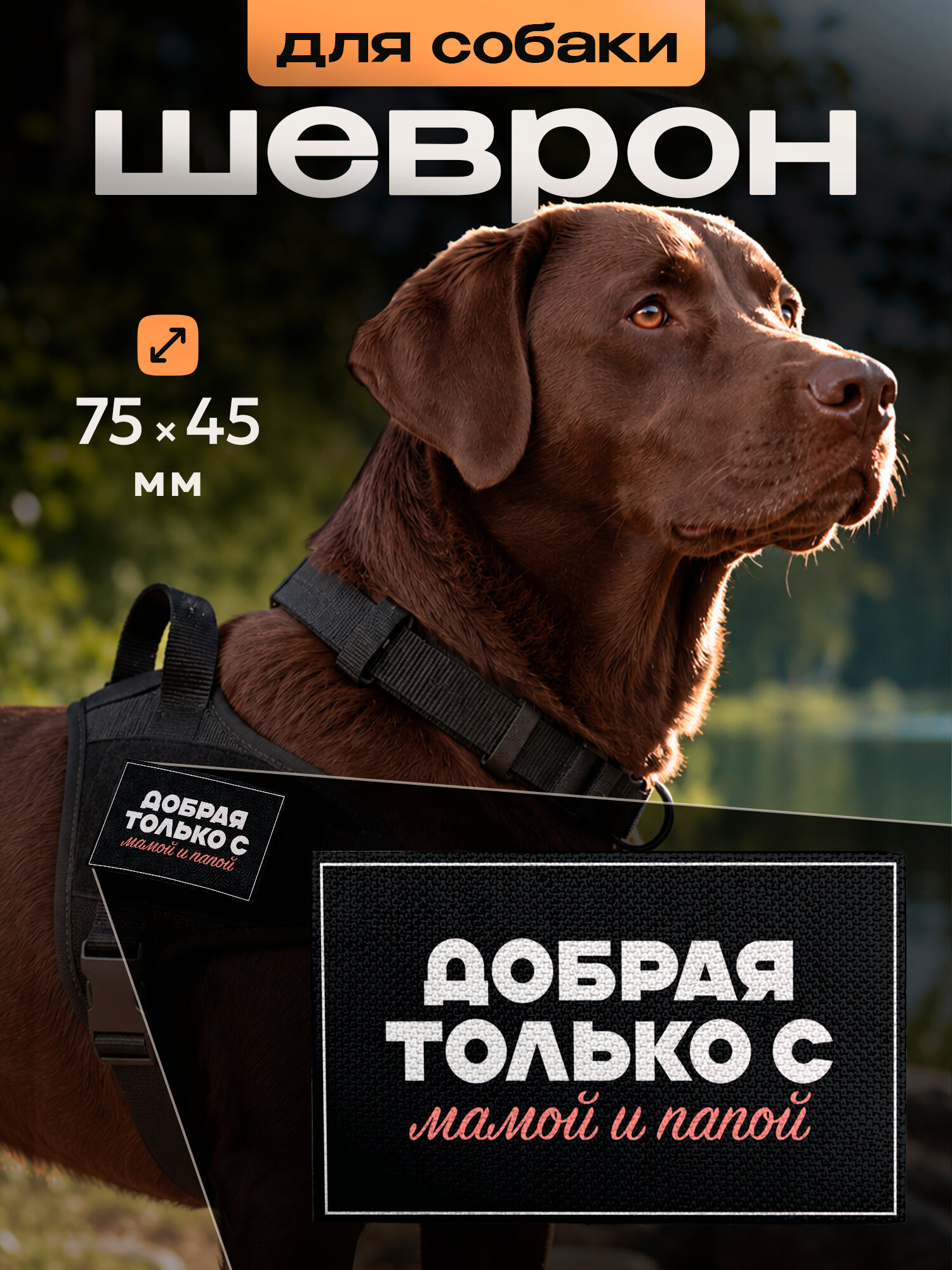 Шеврон для собак