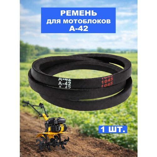 фото Ремень a-42 (а42) культиватора texas, чемпион, brait, carver technobelt