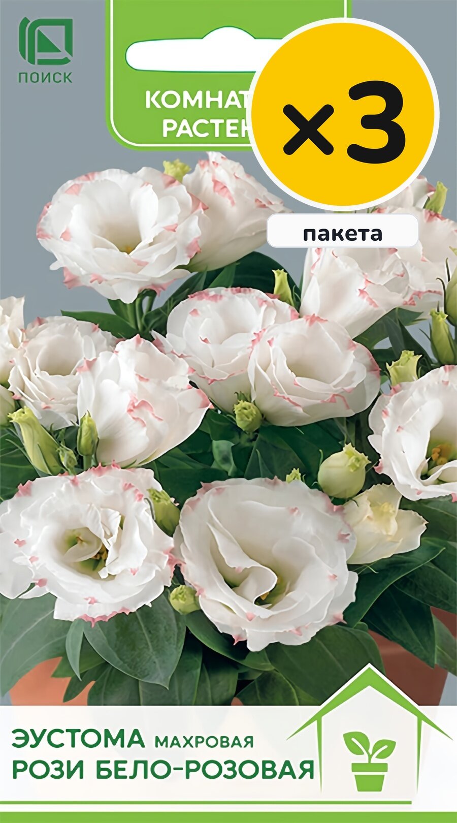 Семена эустомы махровой Рози Бело-розовая, 5 шт, 3 пакета, Поиск, однолетник, высота до 20 см