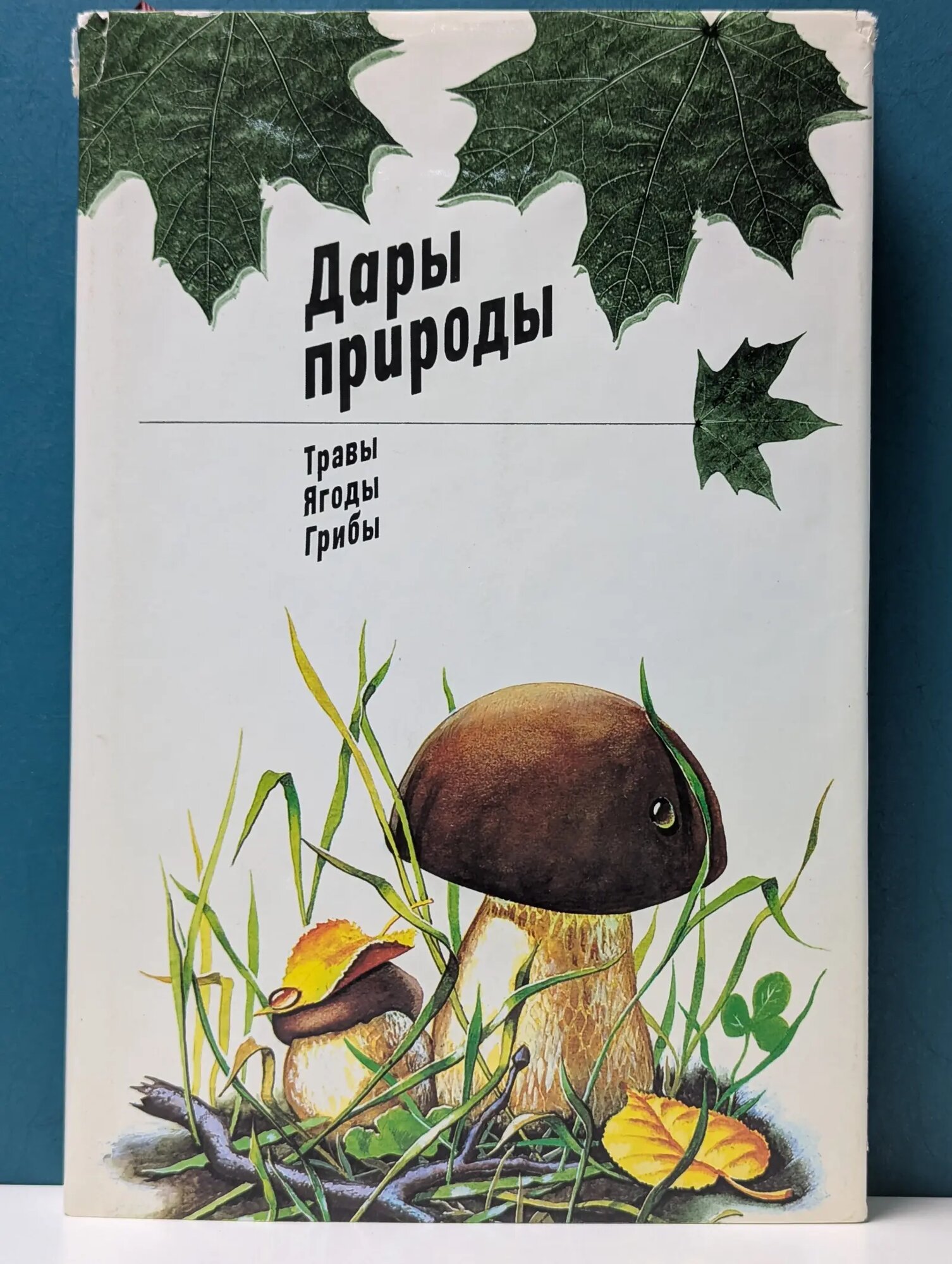 Дары природы. Трава, ягоды, грибы Сборник 1984