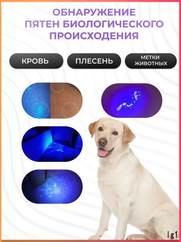 Фонарь ручной — фото 1