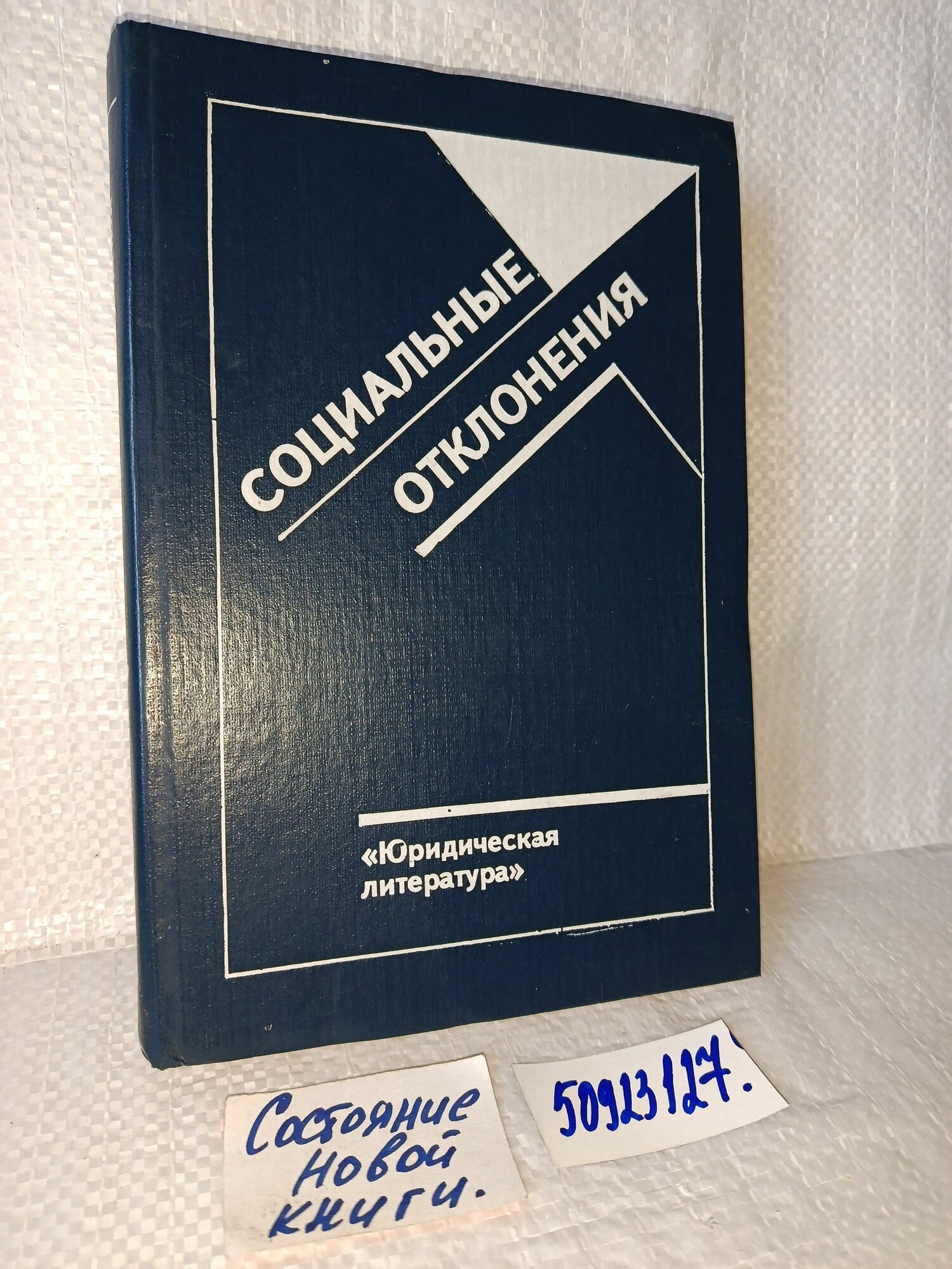 В. Кудрявцев и др. Социальные отклонения.