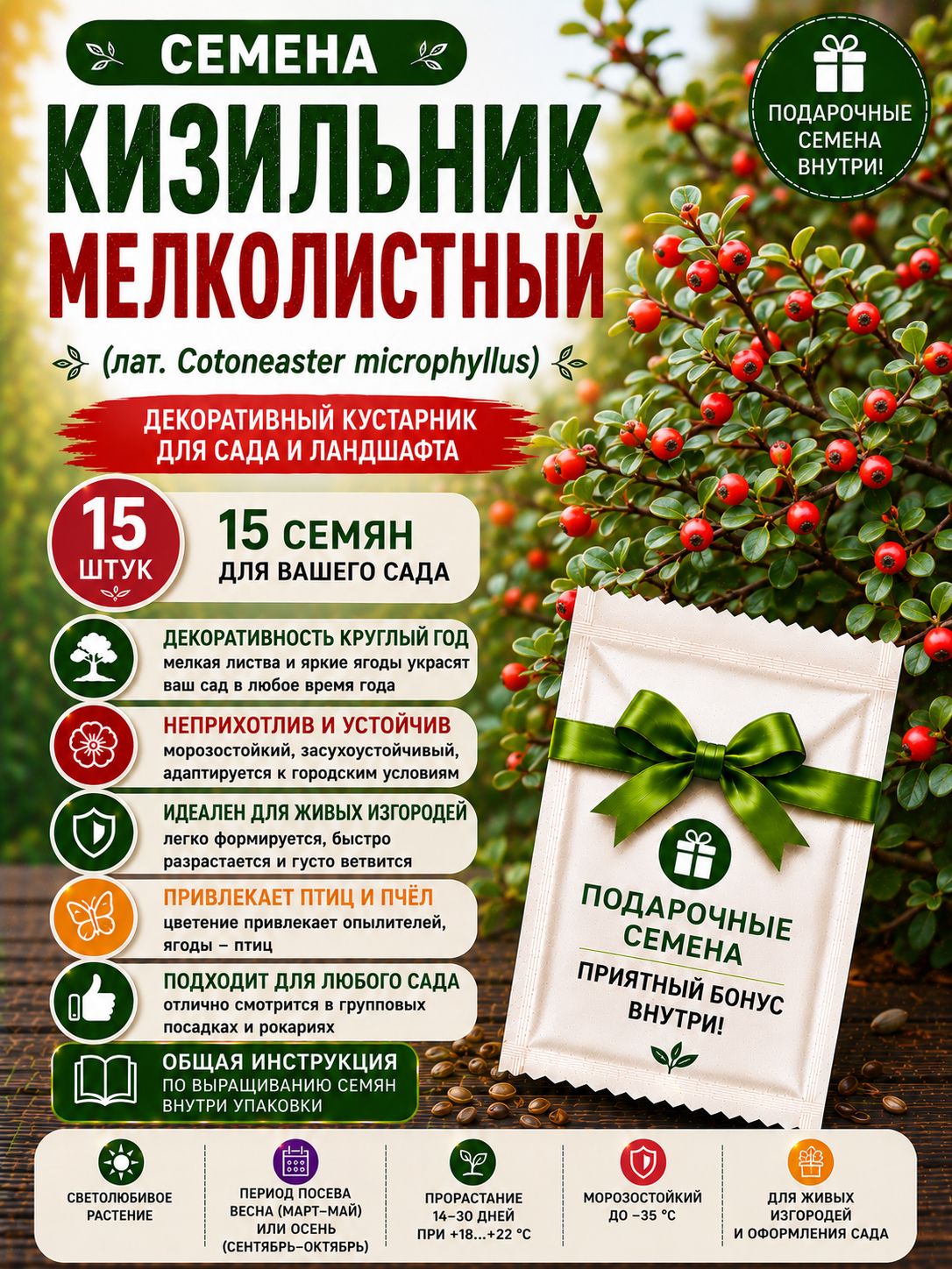 Семена Кизильник мелколистный (лат. Cotoneaster microphyllus) 15шт