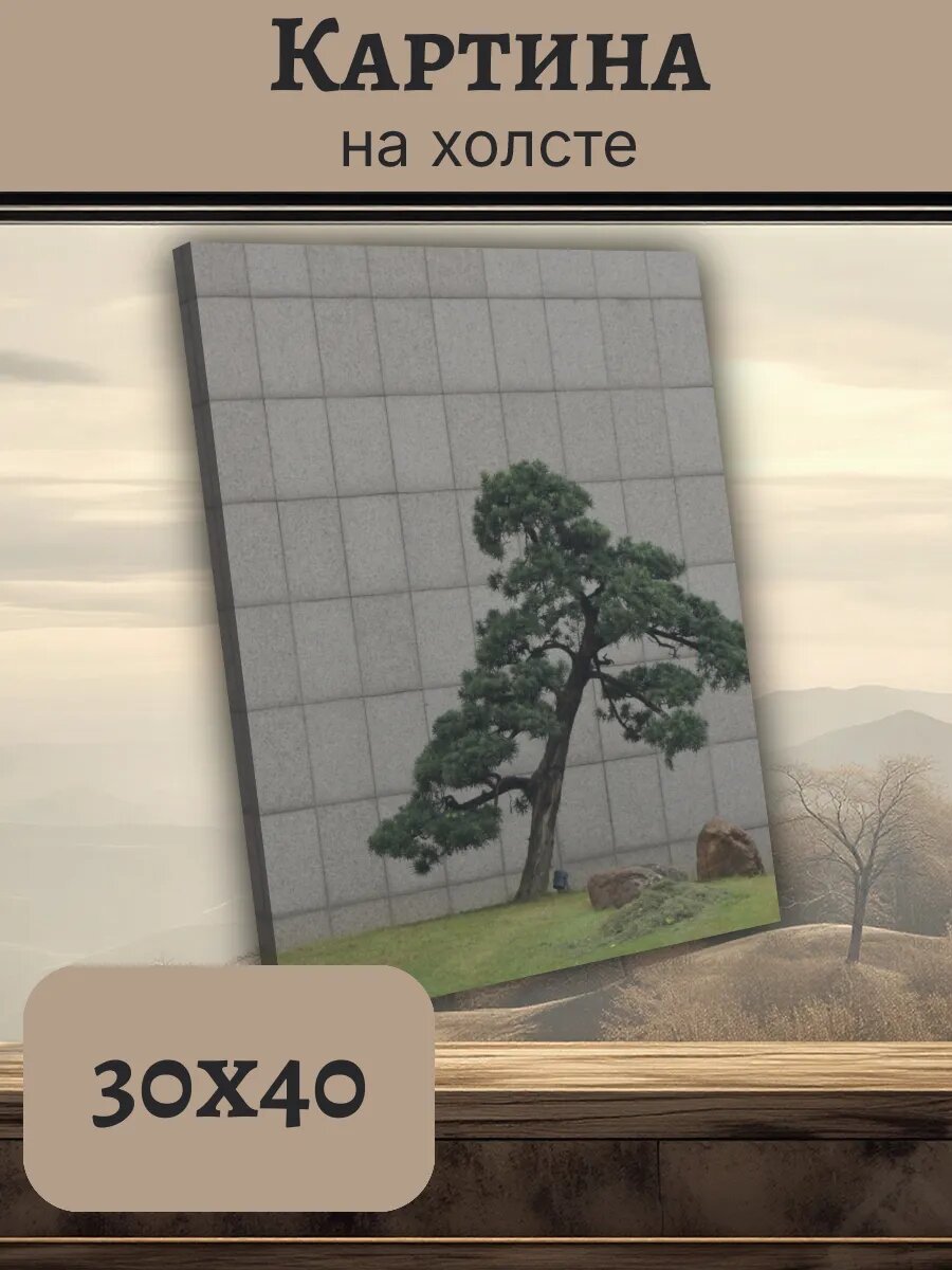 Картина Постер Китай China 30x40 бонсай