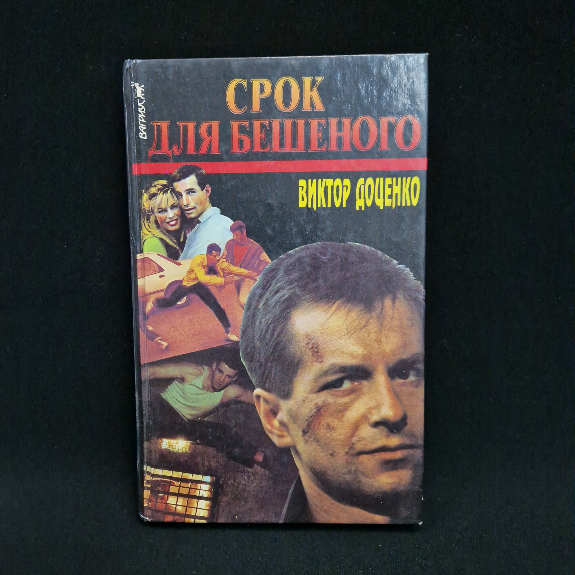 Виктор Доценко. Срок для бешеного. Книга, роман