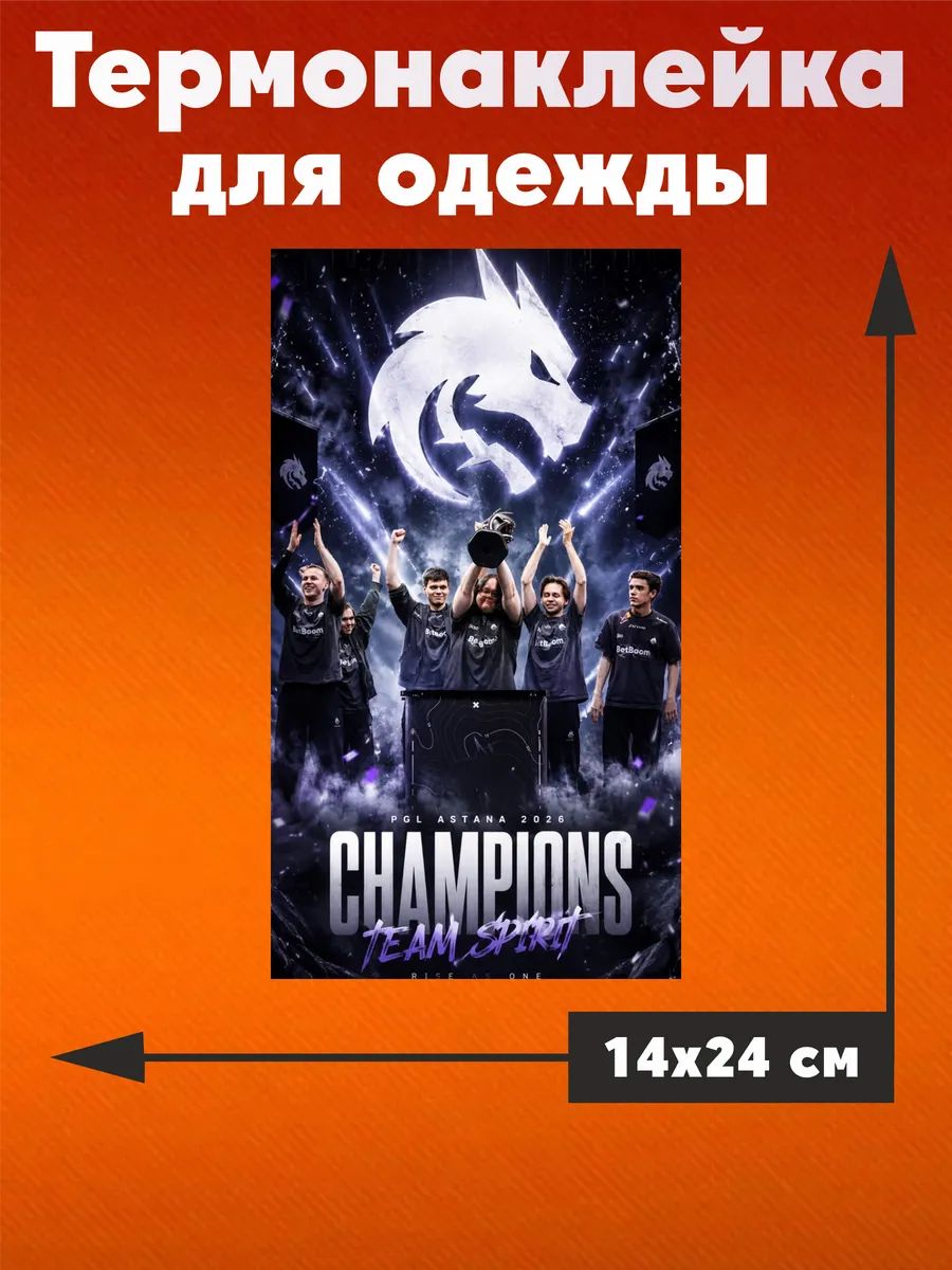 Термонаклейка на одежду Team Spirit