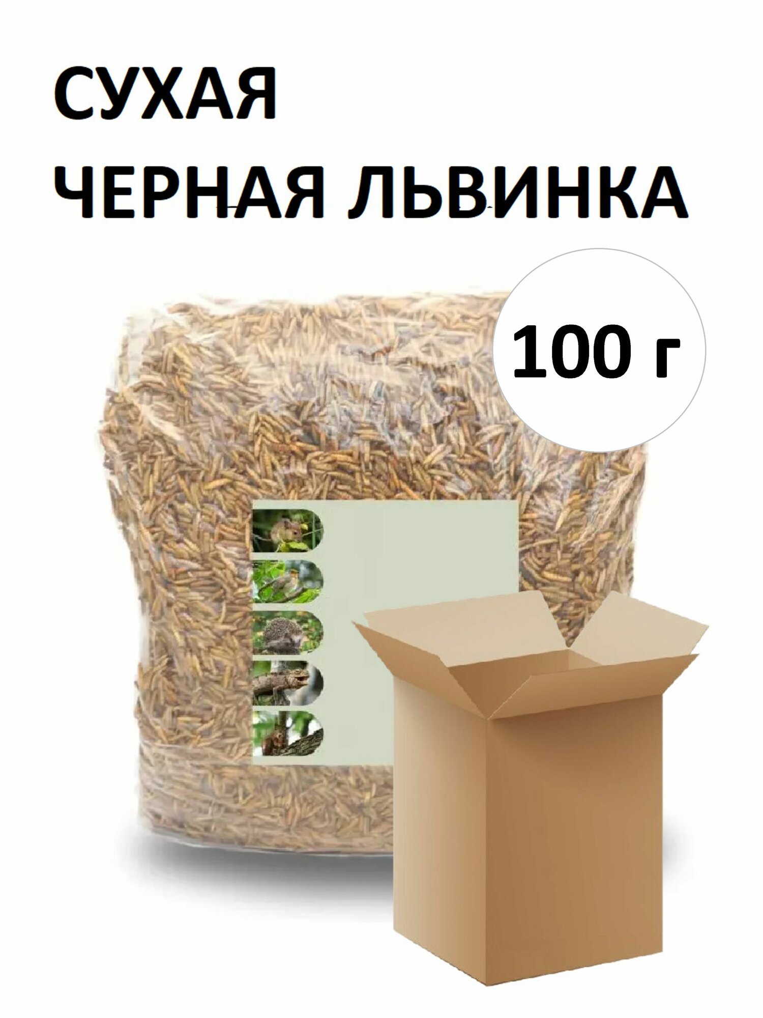 Сухие полезные личинки чёрной львинки
