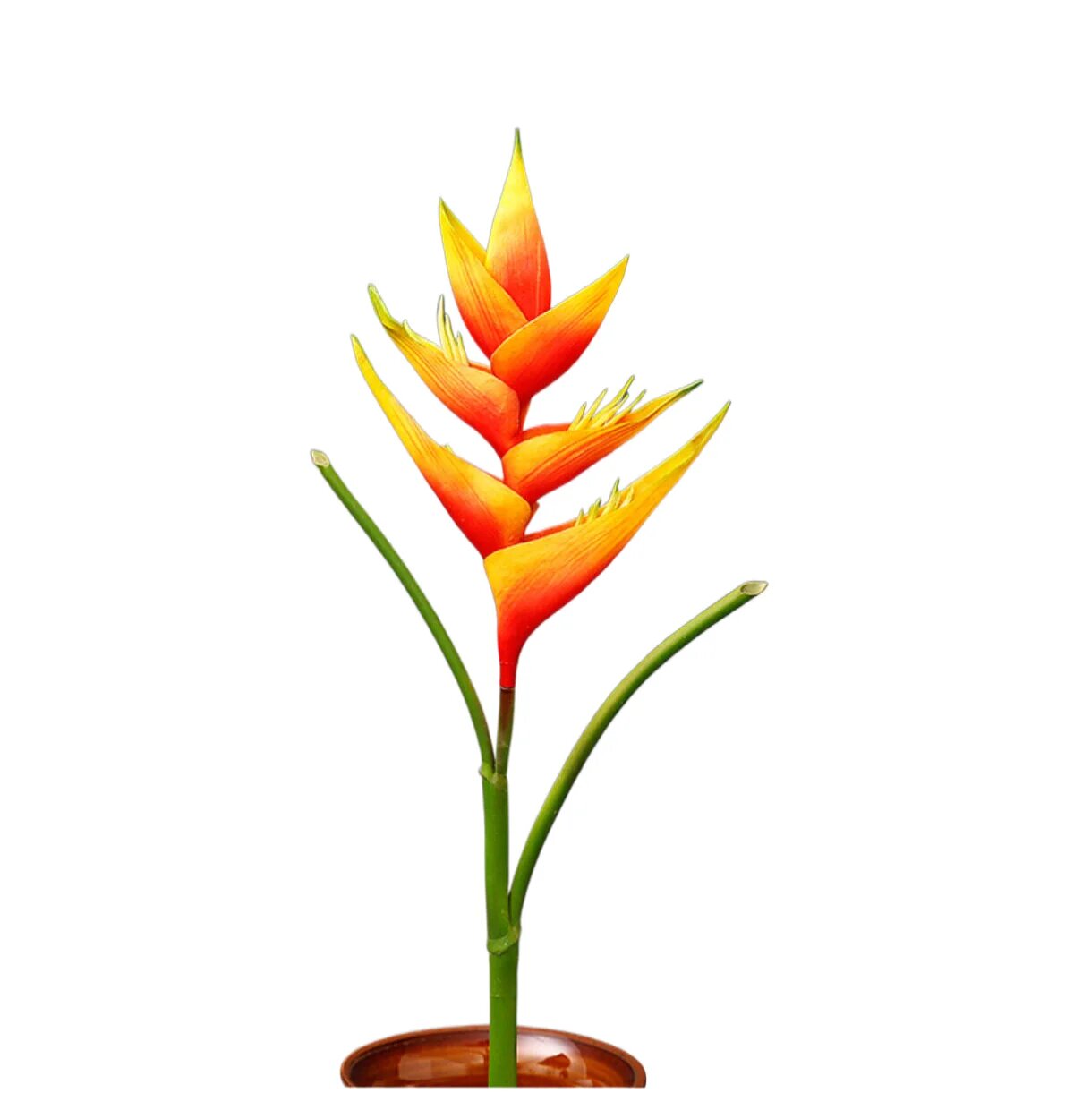 Искусственные цветы Heliconia, оранжевый