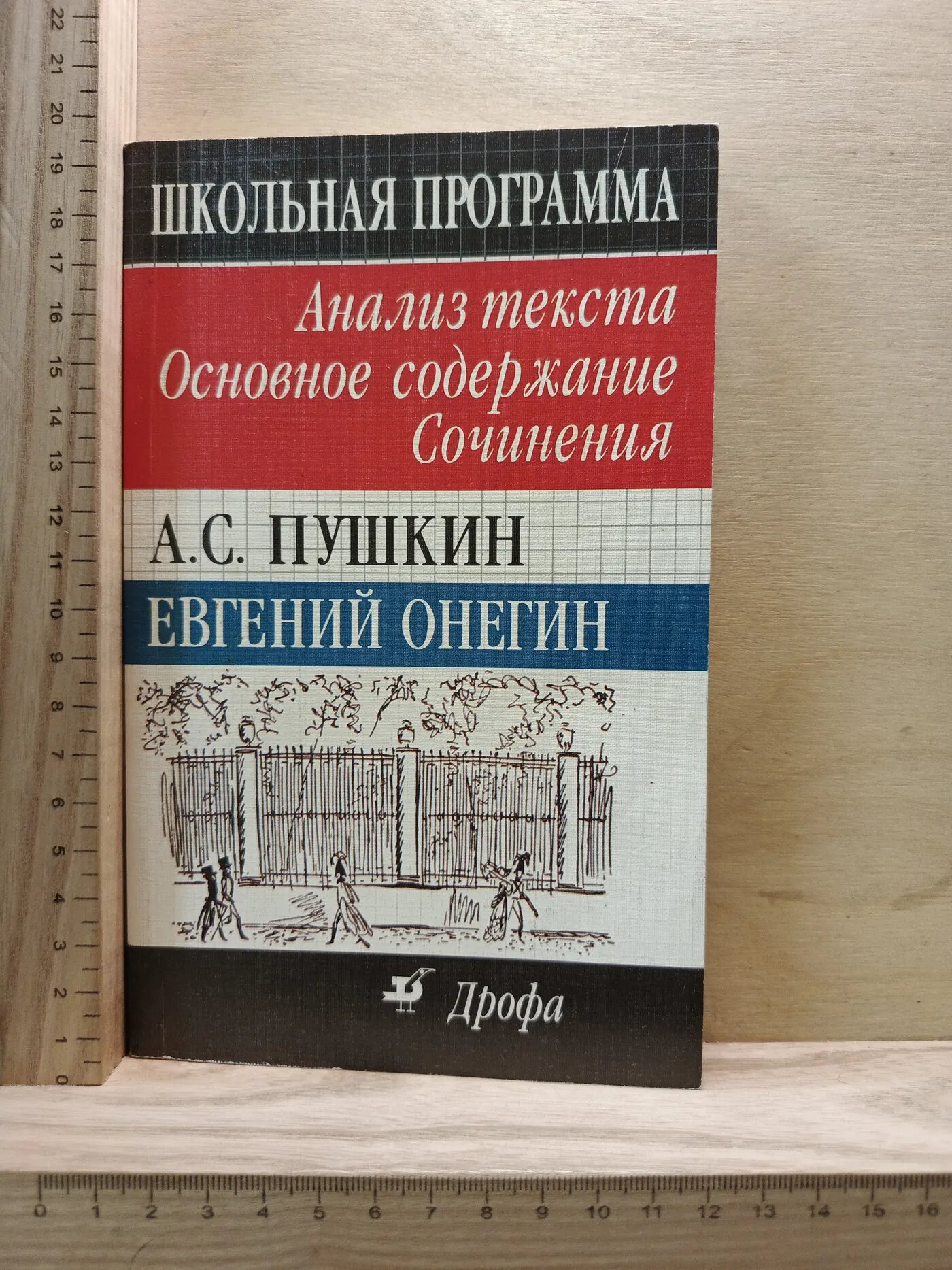 Анализ текста. Основное содержание. Сочинения. А.С. Пушкин. Евгений Онегин