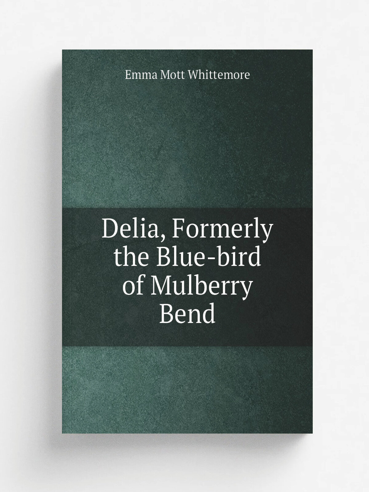 Delia, Formerly the Blue-bird of Mulberry Bend | Emma Mott Whittemore | 1893 | Door of hope | Репринт