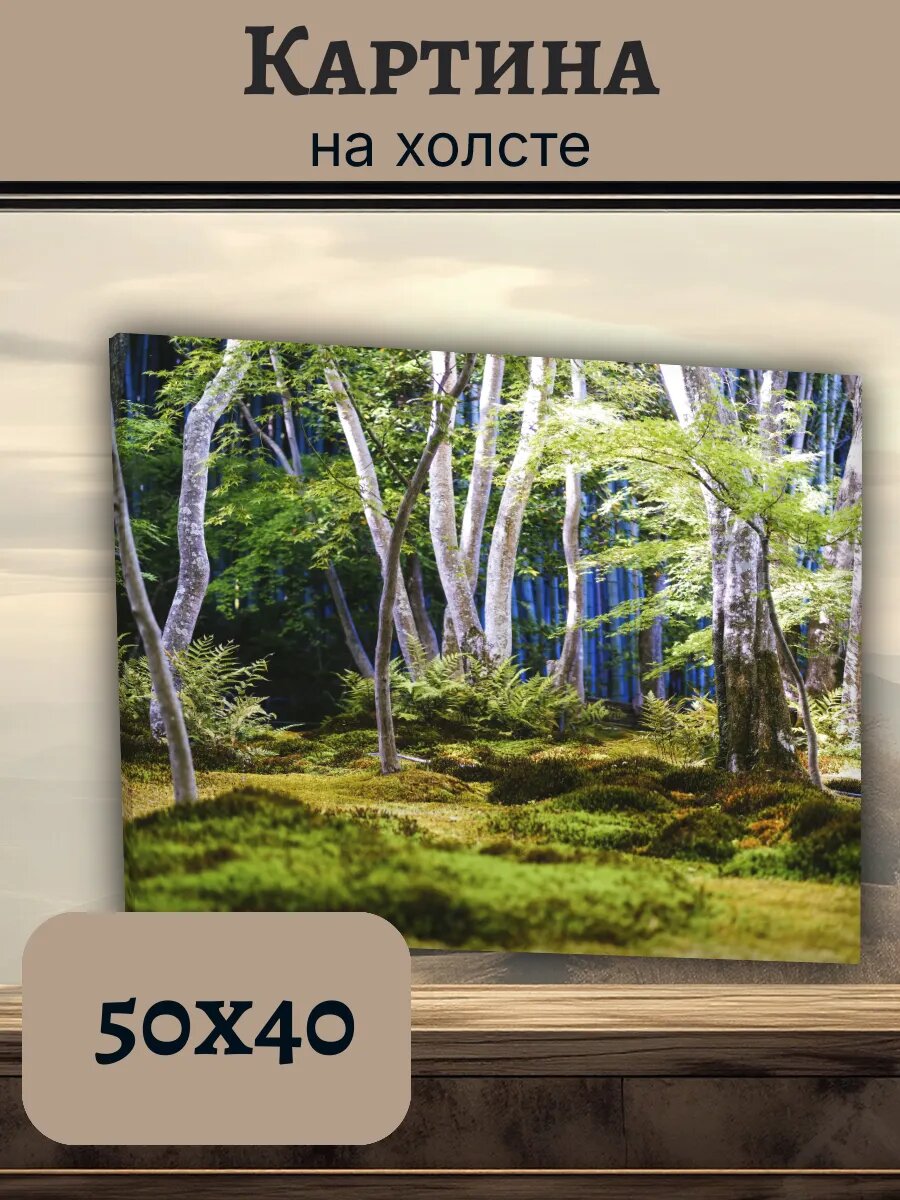 Картина Япония Japan 40x50 бамбуковый лес Арашия Киото