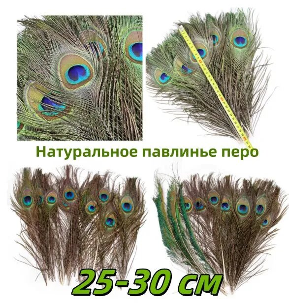 Петит