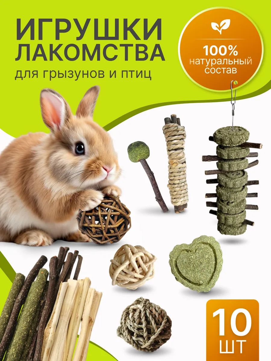 Игрушки для хомяков, кроликов, крыс, Больше чем просто друг, съедобные лакомства для грызунов, набор 10 предметов