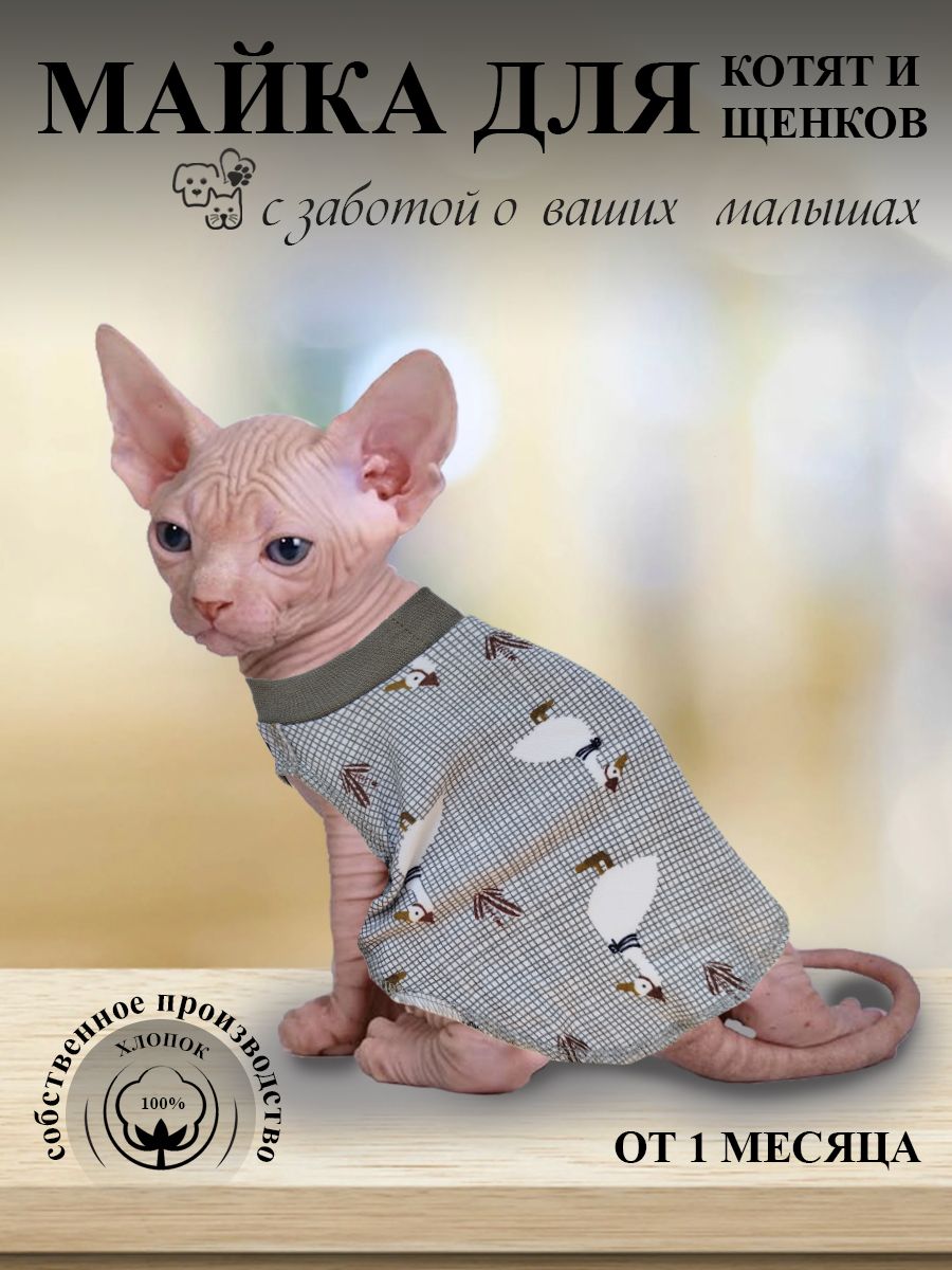 Одежда для Котят (сфинкс) - Майка, 2 месяц