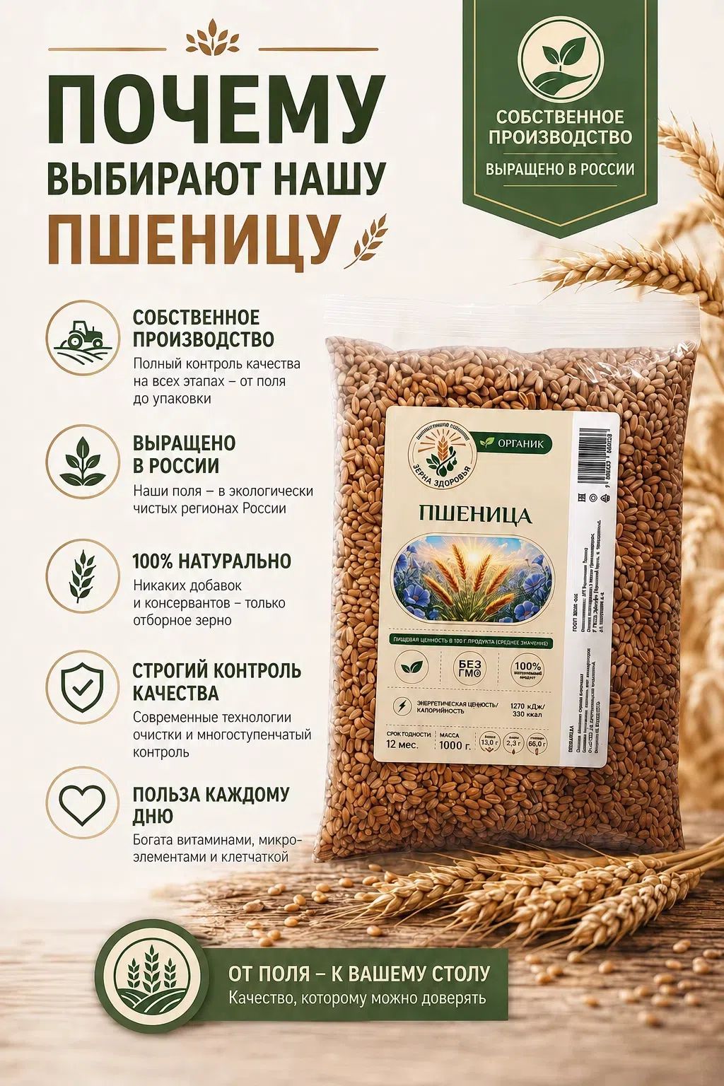 Пшеница для проращивания, ростки пшеницы, витграс, микрозелень, зерно для микрозелени.