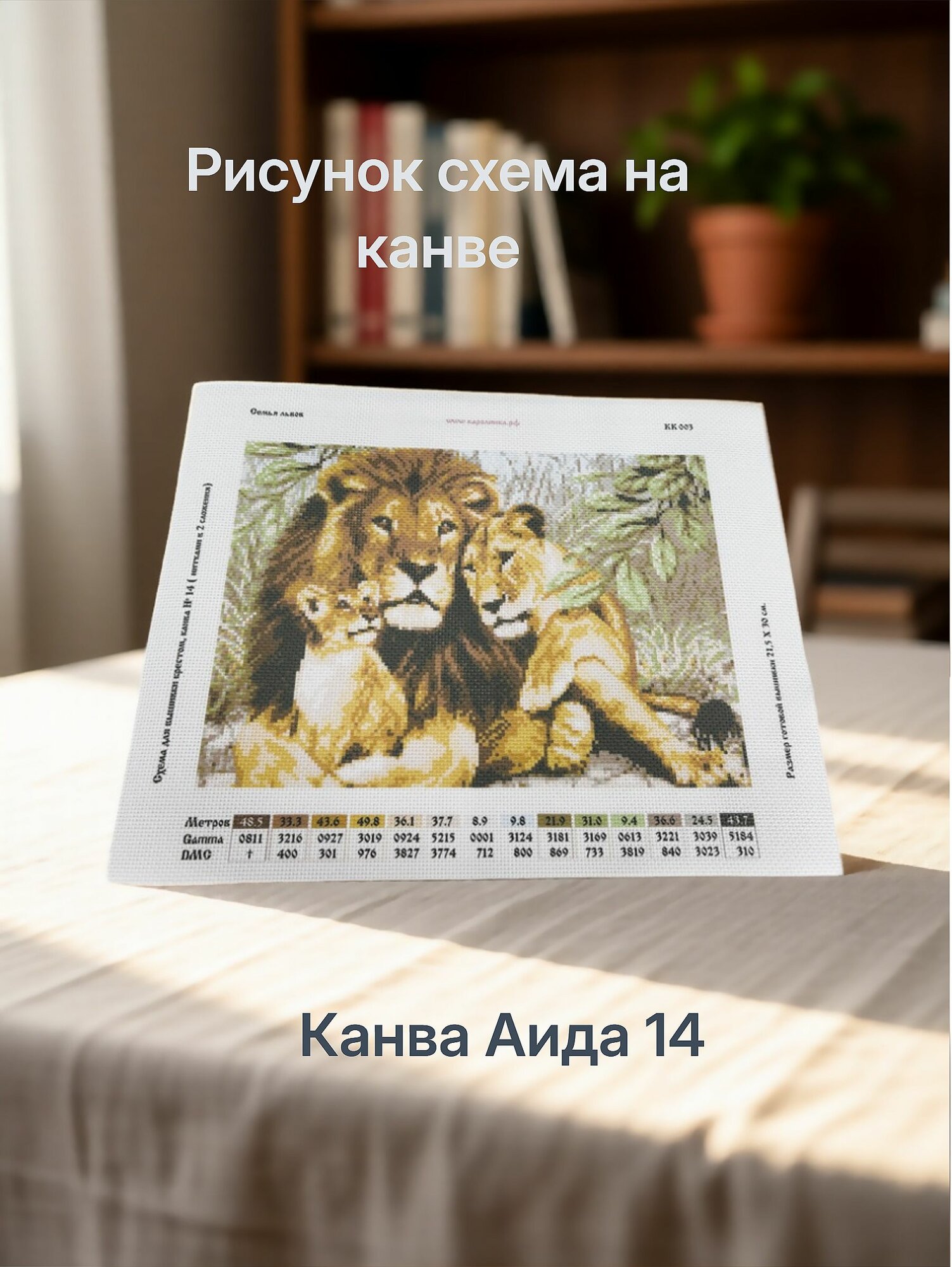 Канва с нанесенным рисунком (нитками не комплектуется), вышивка с нанесенным рисунком
