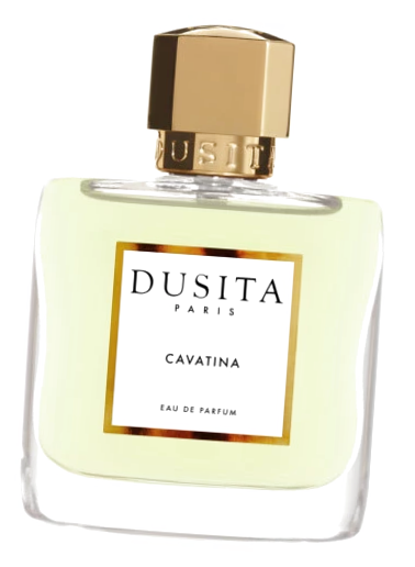 Женская парфюмерная вода Parfums Dusita Cavatina для женщин 100 мл - Дусита Каватина