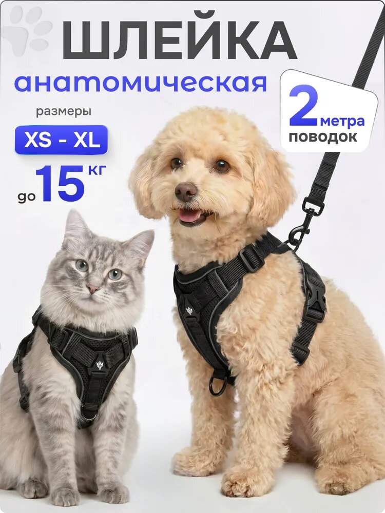 Шлейка для собак мелких средних пород и кошек с поводком