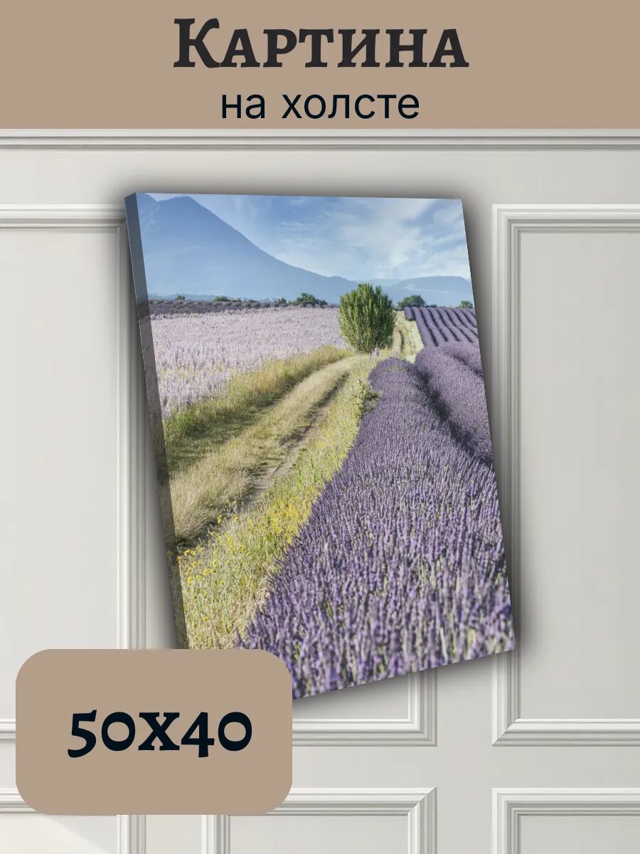 Картина Постер Франция France 40x50 прованс