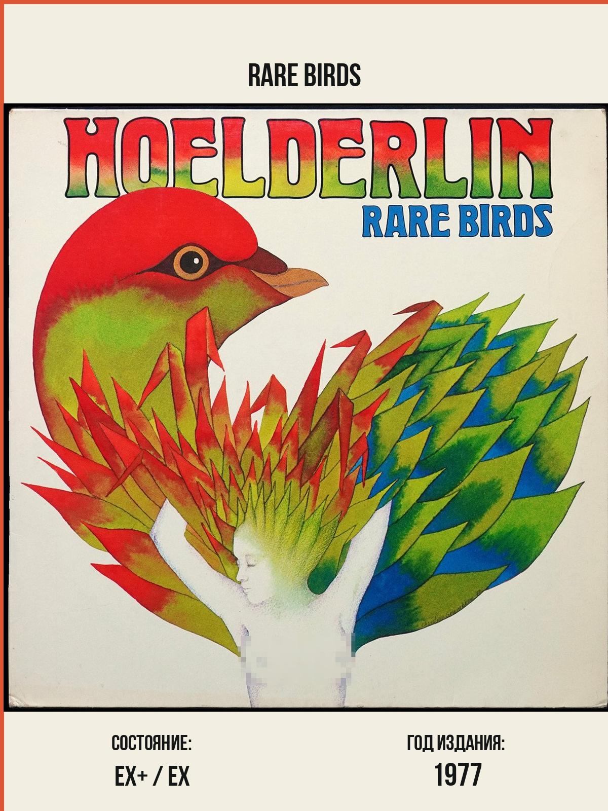 Виниловая пластинка Spiegelei Hoelderlin – Rare Birds