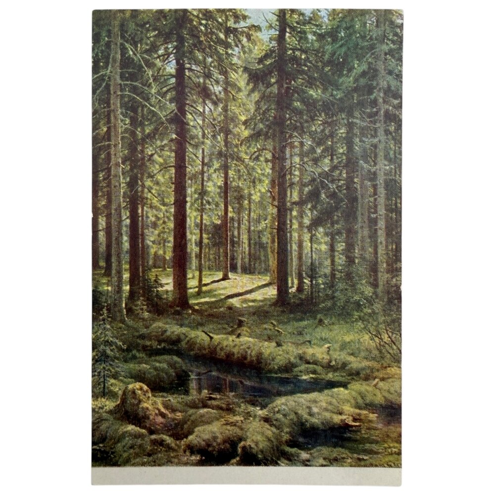 Почтовая открытка "И. И. Шишкин - Хвойный лес. Солнечный день" 1968 г. СССР