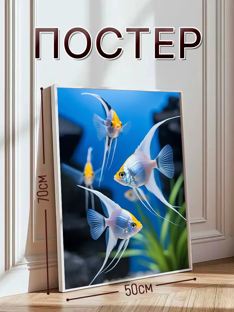 Постер на стену интерьерный, постер 50х70