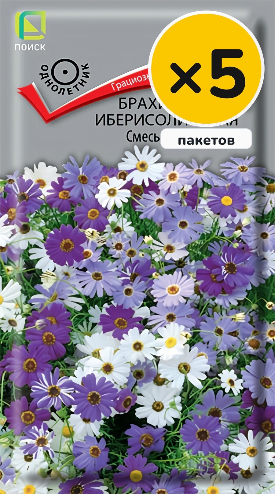 Семена брахикомы иберисолистной, 0,03 г, 5 пакетов, Поиск, однолетник, высота до 25 см, посев на рассаду в марте–апреле
