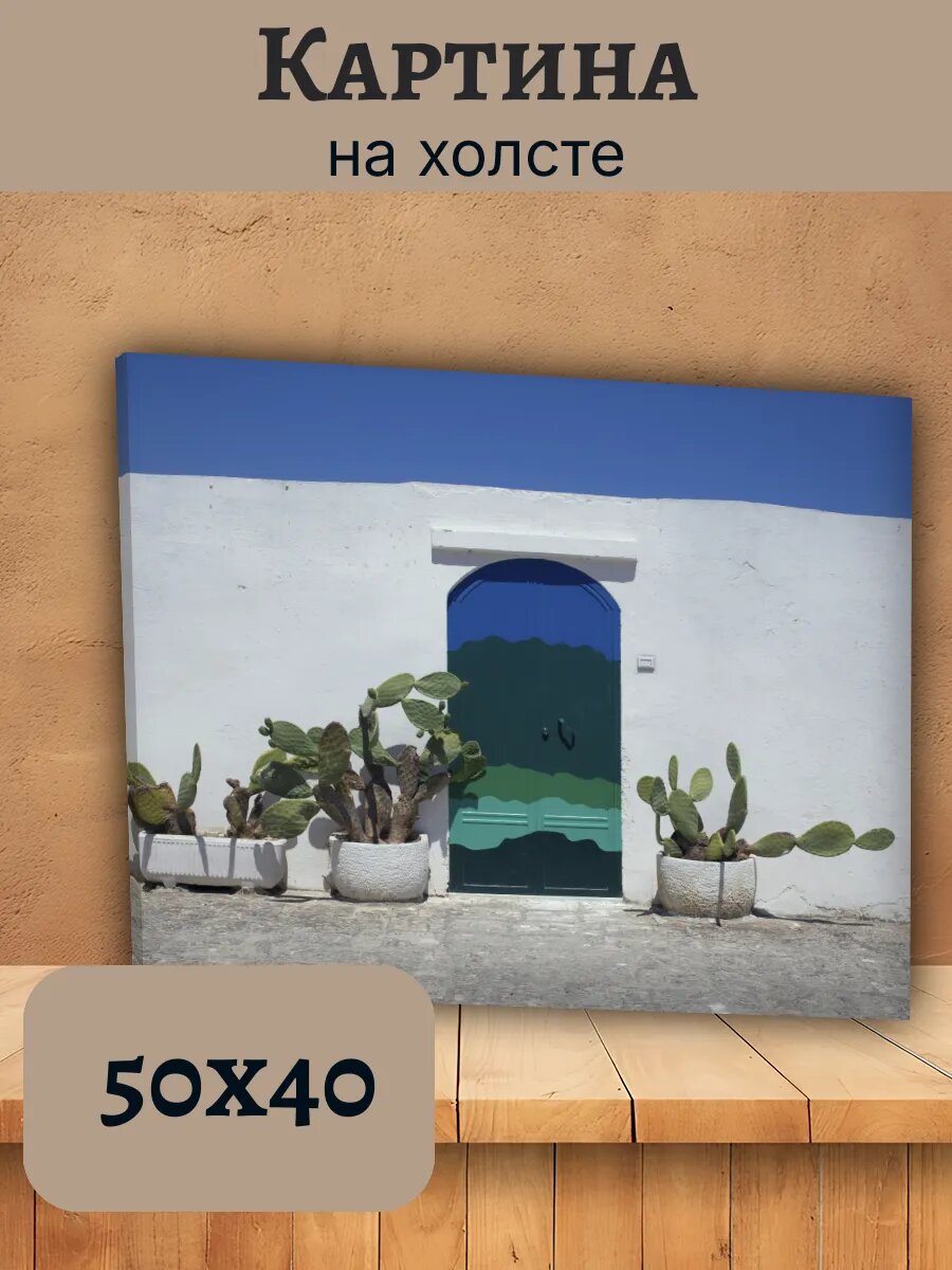 Картина Италия Italy 40x50 арочная дверь с кактусами