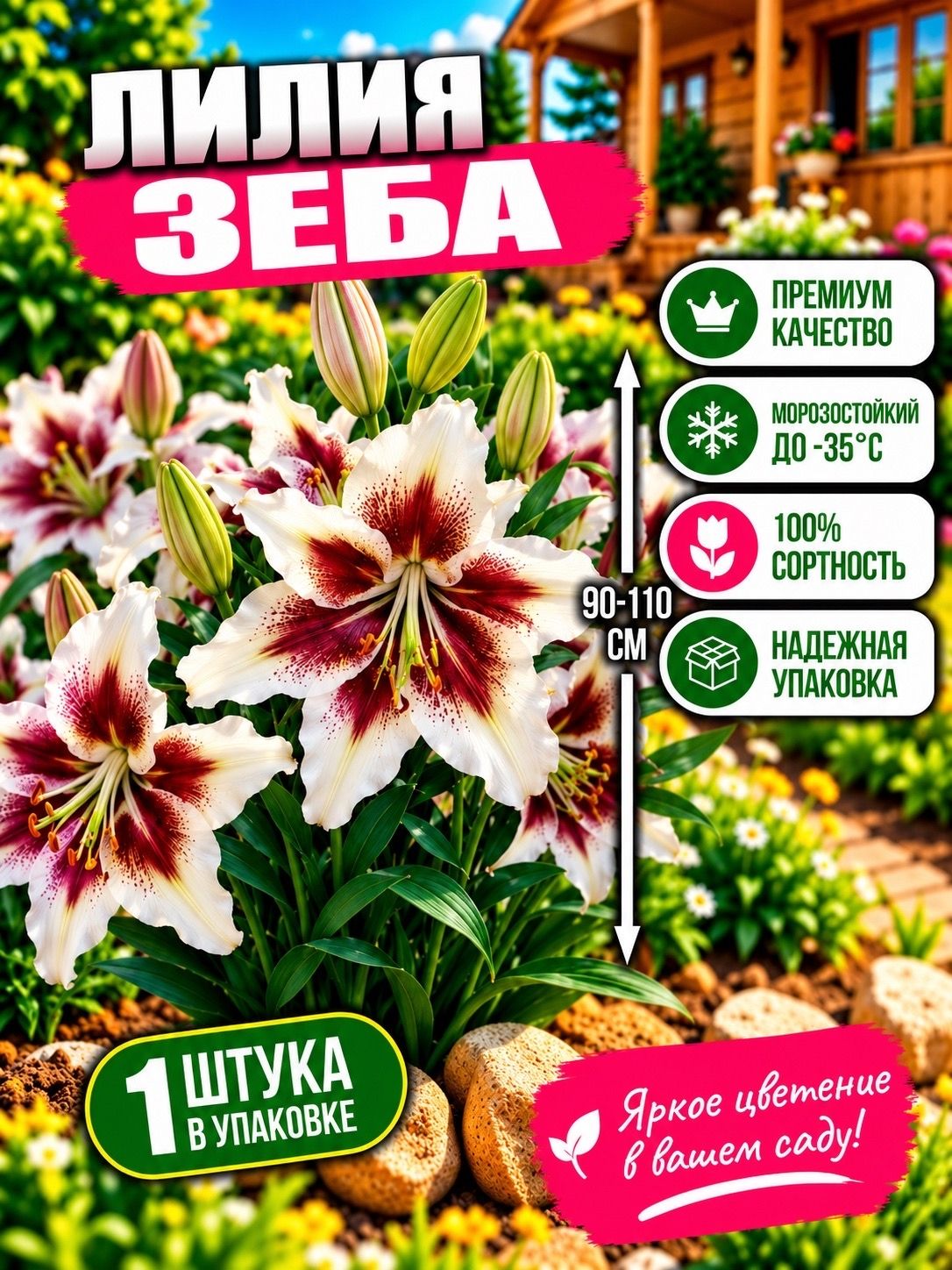 Луковица лилии "Зеба" в количестве 1 шт. в упаковке, морозостойкий